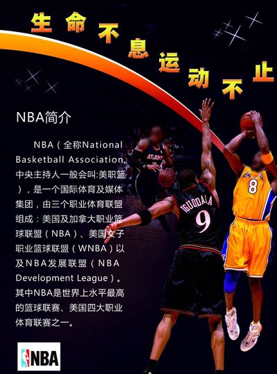 什么借鉴年
