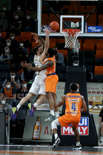 他们在去年 他们在去年